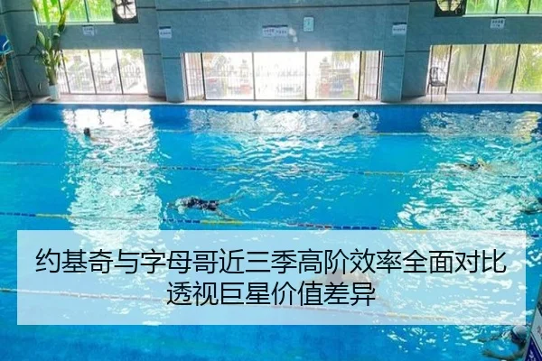 约基奇与字母哥近三季高阶效率全面对比透视巨星价值差异