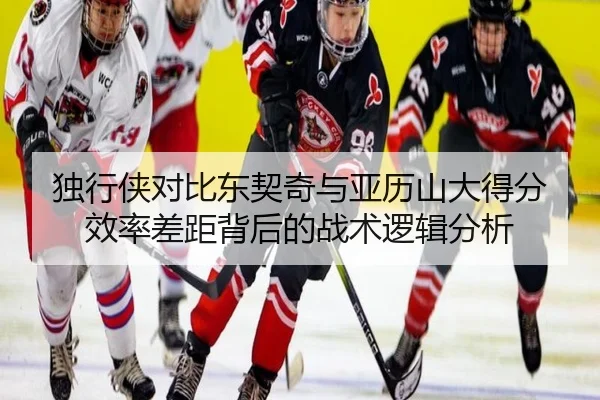 独行侠对比东契奇与亚历山大得分效率差距背后的战术逻辑分析