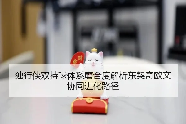 独行侠双持球体系磨合度解析东契奇欧文协同进化路径